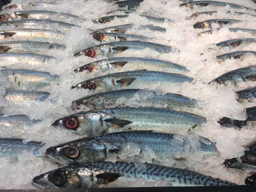 Fresh fish arranged in rows on ice at a market.