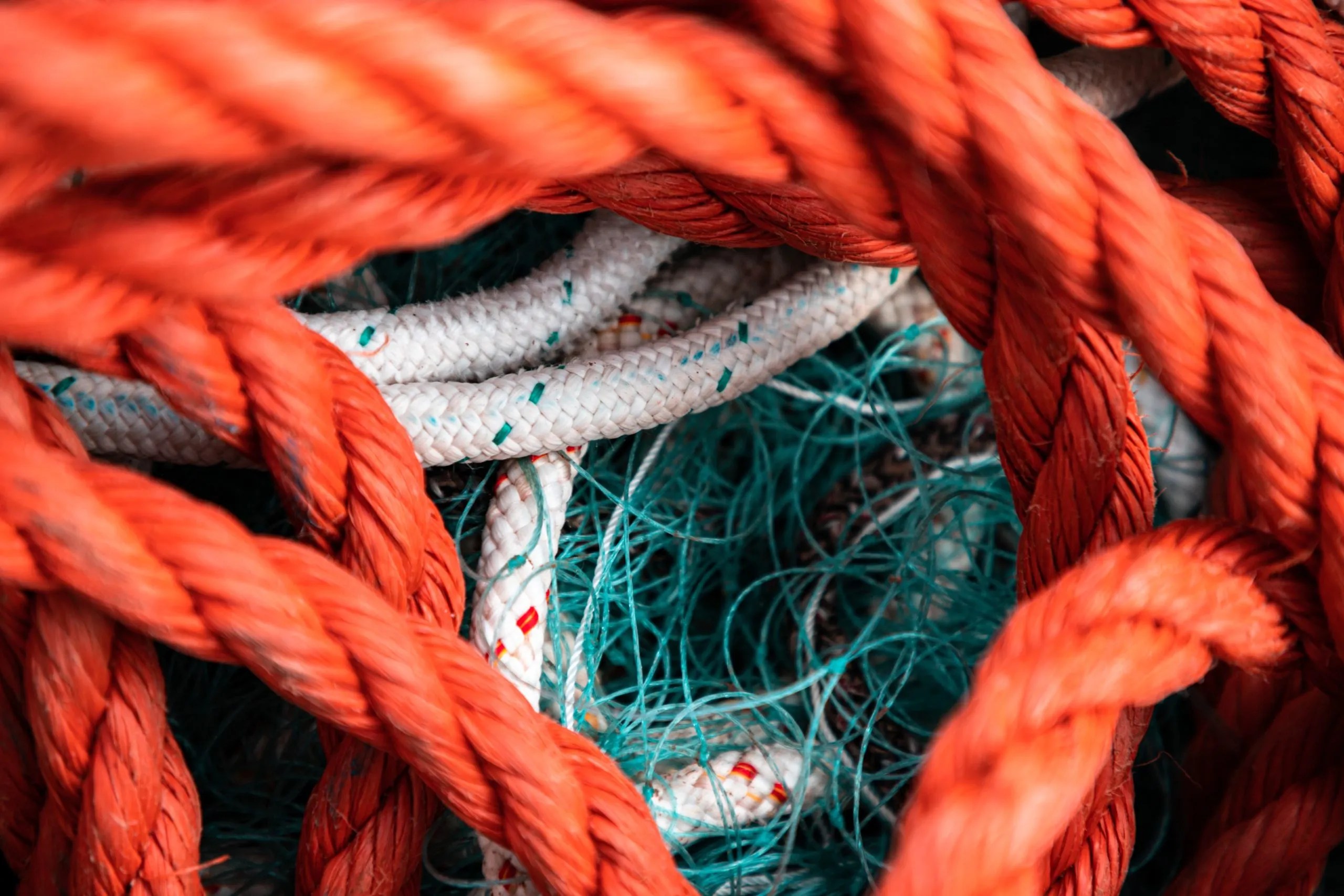 Close-up of intertwined red ropes and turquoise netting
